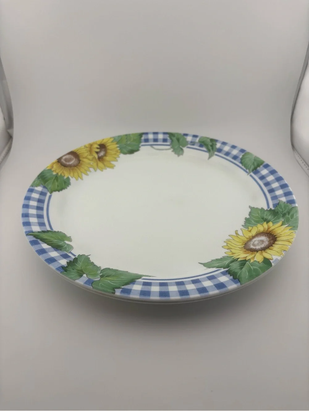 Corelle by Corning Sunsational Dinner Plate 10.5” - set of 2